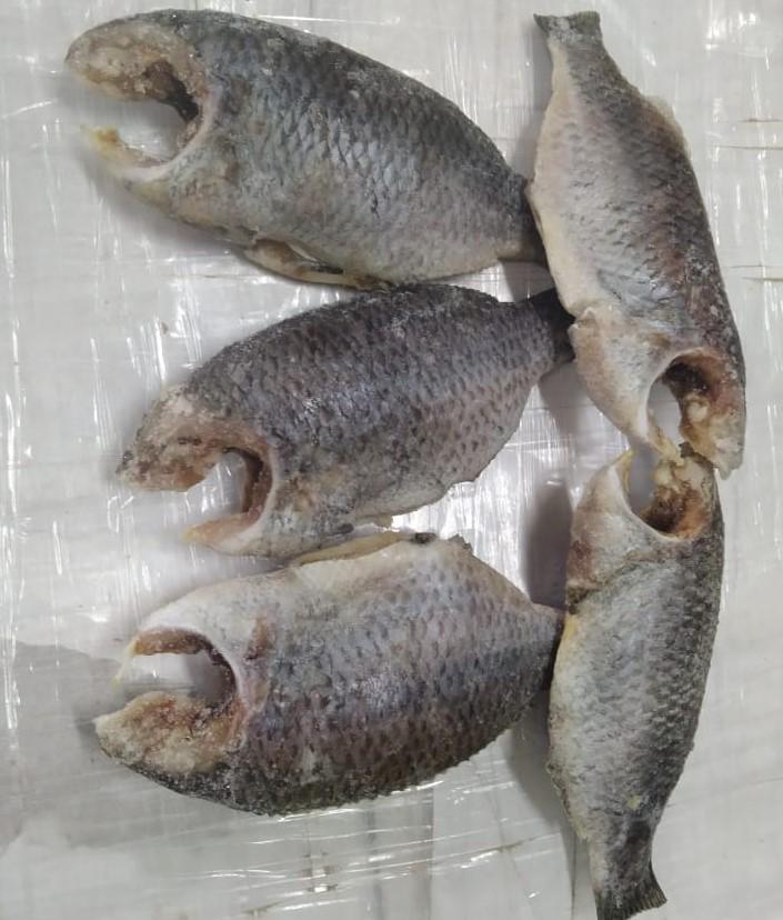 Tilapia Mooncut